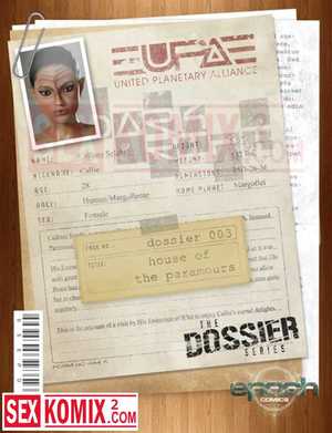 Порно комикс Досье. Часть 3. Дом любви.
