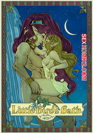 Порно комикс Зельда. Маленькие птицы. Little Birds Bath. WintonKidd Zelda.